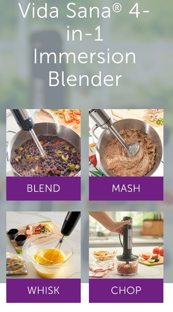 princess house healthy life 4-1 immersion blender
