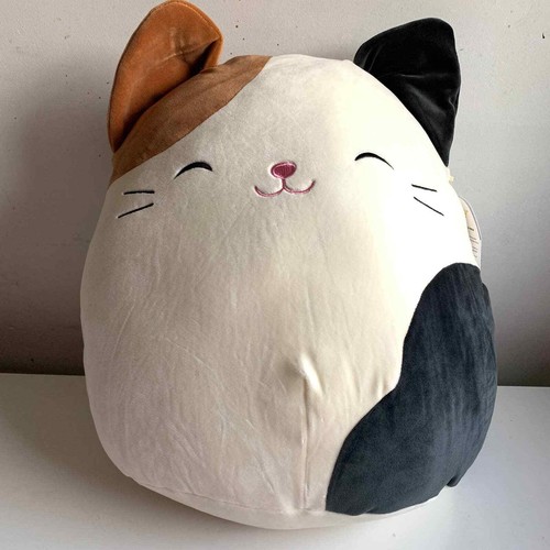 squishmallow cat cameron