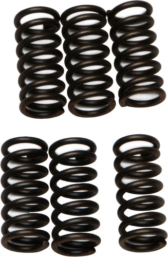 EBC CSK Clutch Spring Kit CSK2