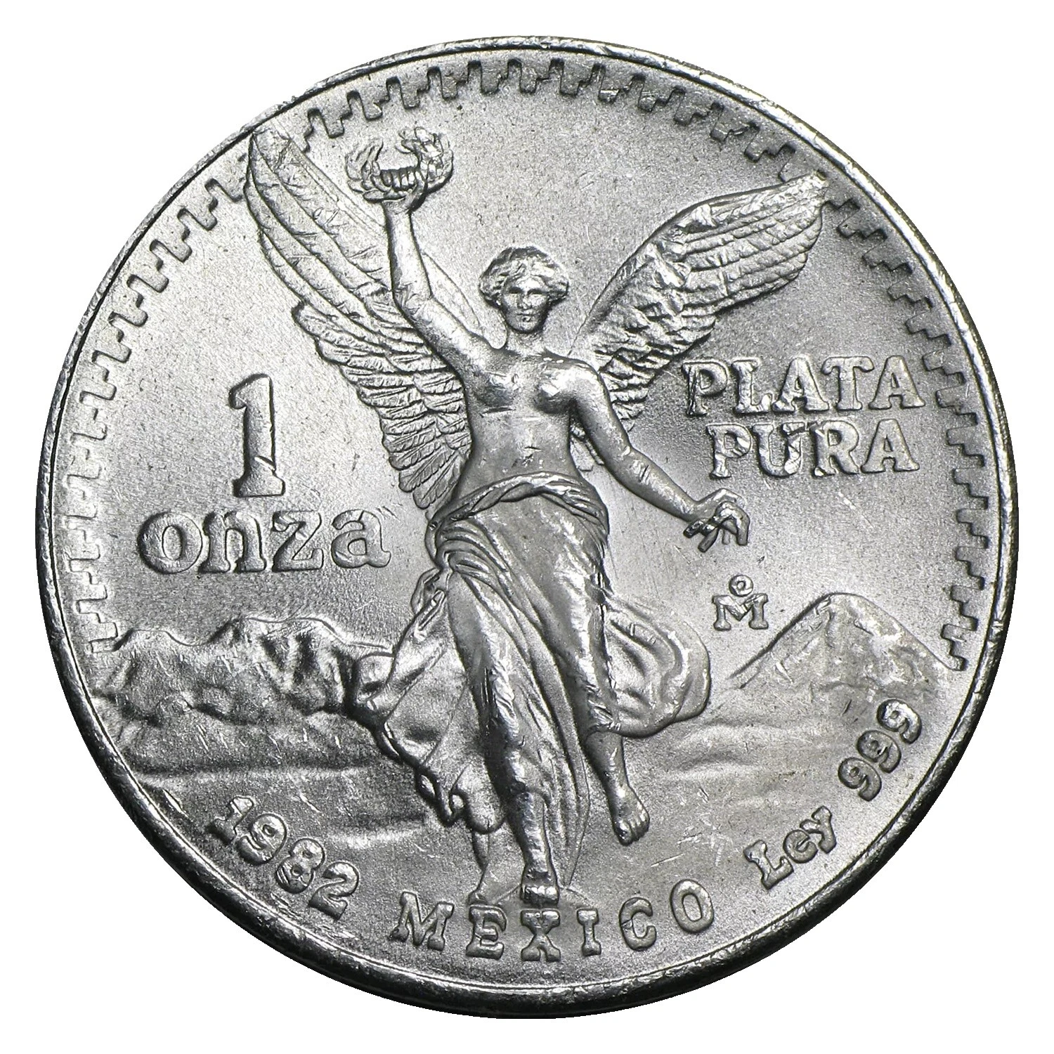 1980 Silver Bullion Coins