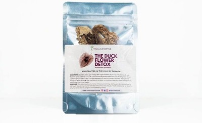 Duck Flower Detox Tea 2 Duck Flowers, Aristolochia grandiflora, Wildharvested...