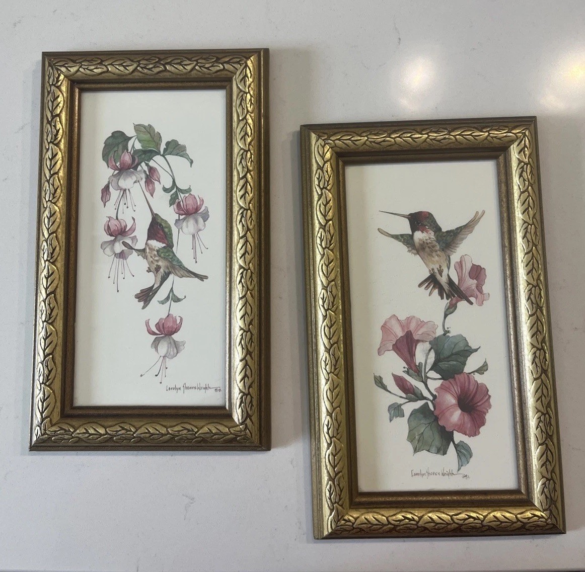 2 Framed Hummingbird Floral Prints Carolyn Shores Wright Cottage Core Botanical