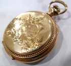 Ornate Antique 1902 Waltham Seaside 25Y Hunter Case 7J Pocket Watch Model 1891