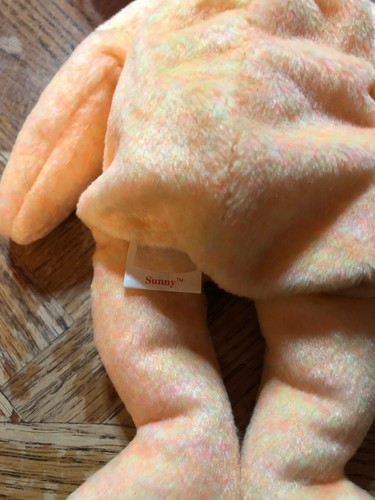 TY Beanie Baby ~ SUNNY the E-BEAR ~ 13.02.2000 ~ Retired ~ neuwertig - Bild 4 von 4