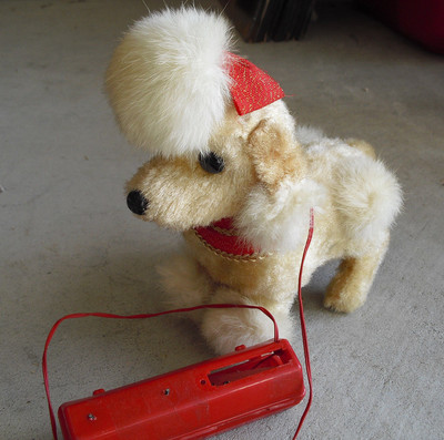 dog toy with battery