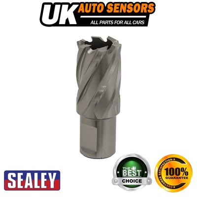 Sealey Worksafe �� 23 mm HSS Mag Bohrer Schnitttiefe 25 mm RBHSS23S