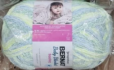 (1) JoAnn Bernat Baby Blanket Meadow Prairie Super Bulky Poly Yarn 220 yds Skein