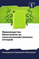 Proizwodstwo BioäTanola Iz Sel'skohozqjstwennyh Othodow Ojetundzhi Taschenbuch