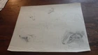 1930.René Herisson.Animal drawing.barzoi greyhound