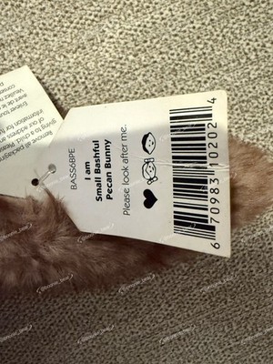 Jellycat Small Bashful Pecan Bunny BNWT - Retired & Rare - 100