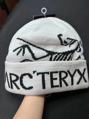 帽子 ARCTERYX Bird Head Toque s-l400.jpg