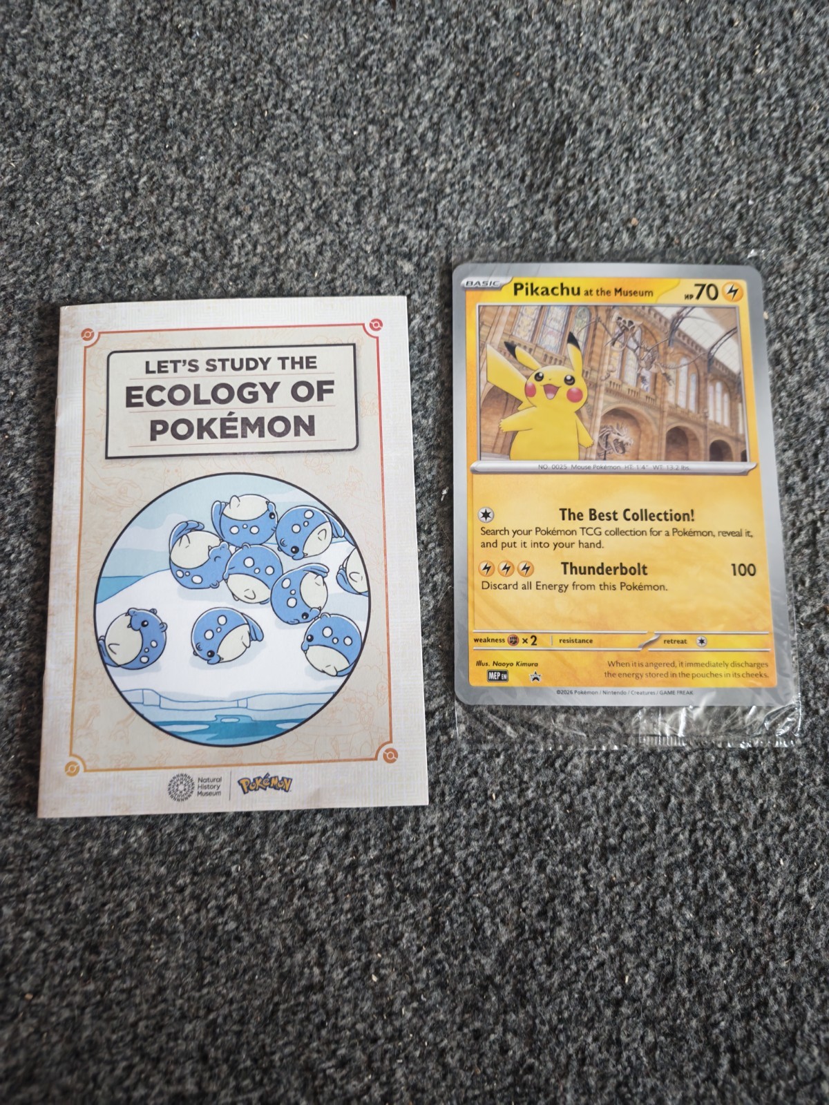 Pokemon X Natural History Museum Pikachu At The Museum Jumbo Promo Card
