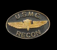 US Marine Corps RECON Wings Pin New USMC
