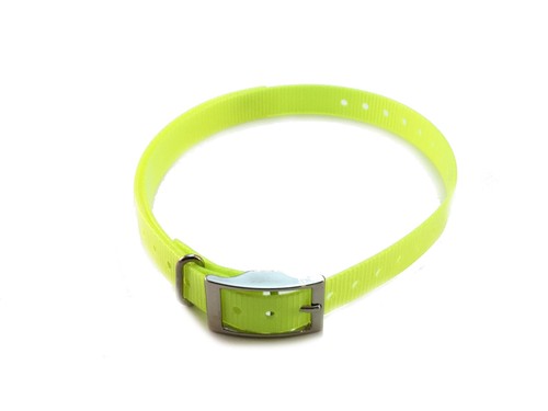 Collare di ricambio 3/4" cinturino fibbia quadrata High-Flex per Garmin, Delta, Dogtra - Foto 15 di 50