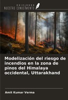 Amit Kumar Verma | ModelizacióN Del Riesgo De Incendios En La Zona De Pinos...