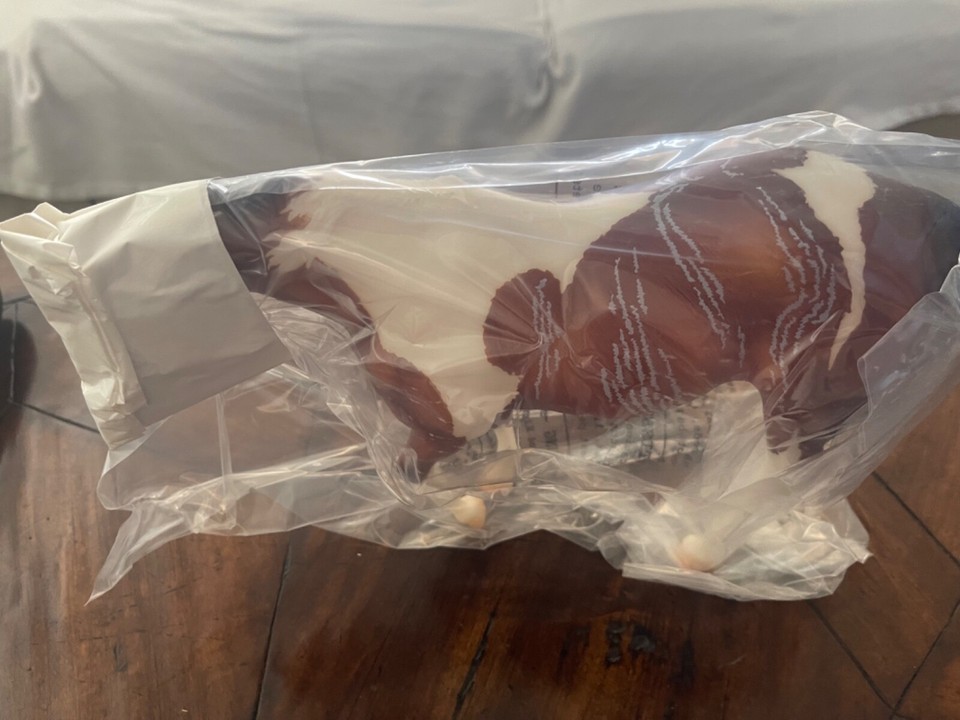 NEW Breyer Can’t Hold Us Down Variation Model Horse BreyerFest 2024