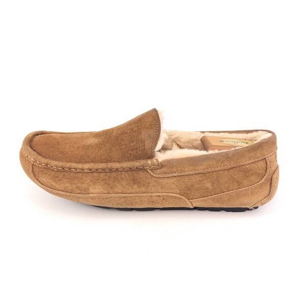 Shoes Mens Ugg Olsen UGG Kid's Ascot Slipper In Chestnut Daniels Shoes