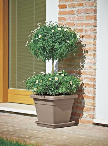 Untersetzer 30 Größen und 12 Farben zur Wahl Rund Eckig Quadratisch Rechteckig ! - Bild 101 von 145