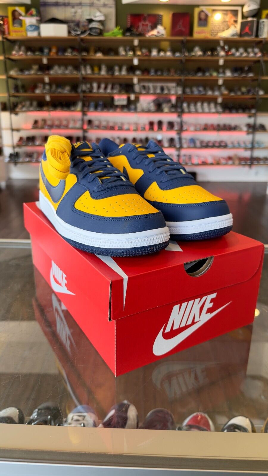 Size 9 - Nike Terminator Low OG Michigan FJ4206-700