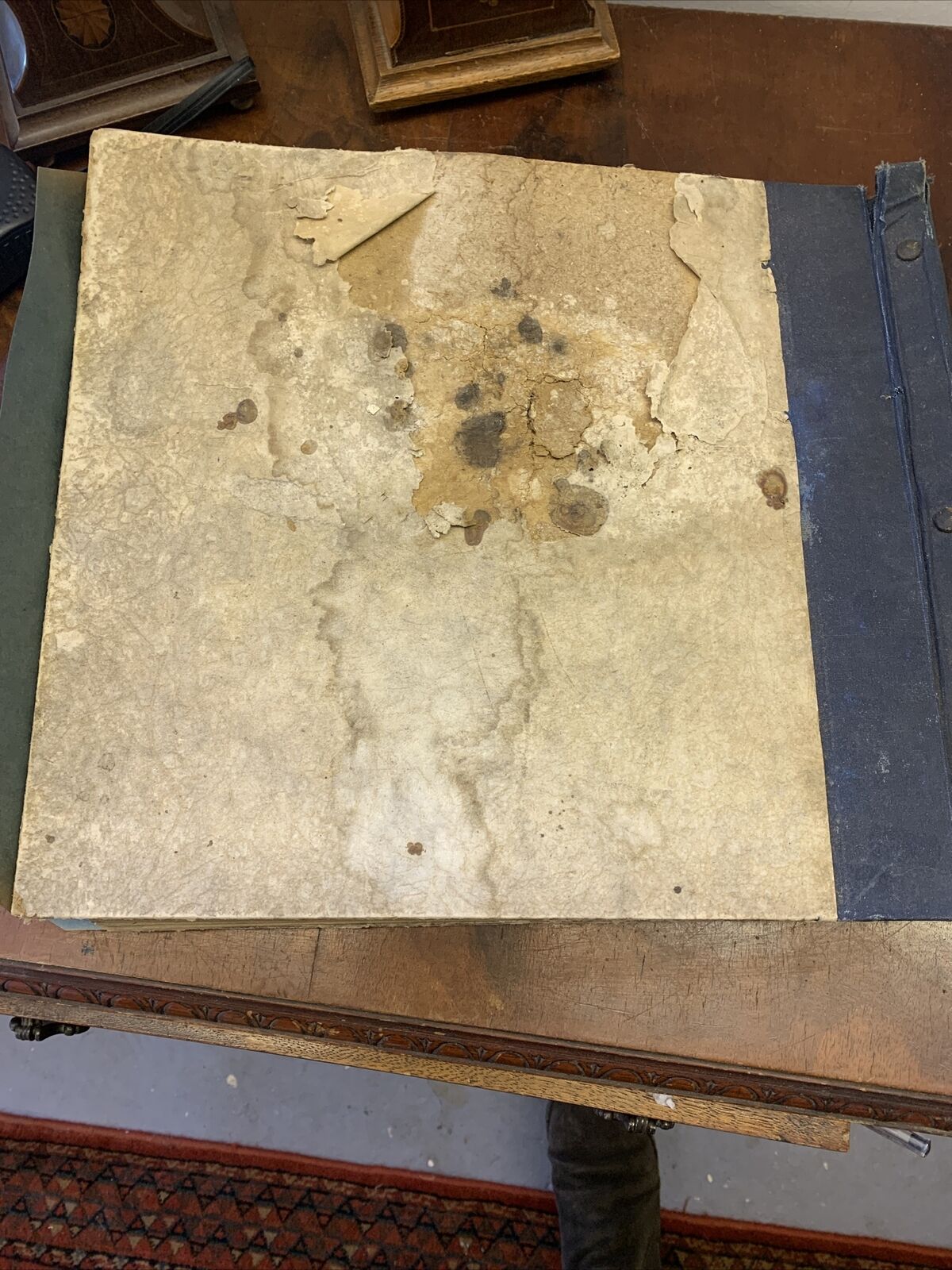 Picture 20 of 20
