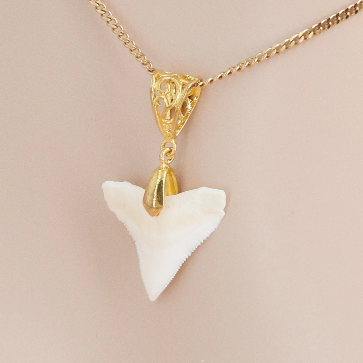 Bull Shark Tooth Necklace Gold Plated Curb Chain Bail Jewelry