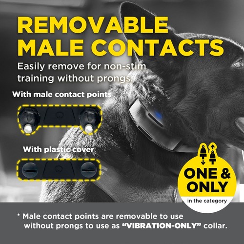 Dogtra 1900X Handsfree Black Edition 2-Dog Remote Training Collar 1 Mile, XXP - Picture 18 of 24