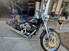 1999 Harley-Davidson Softail for Sale