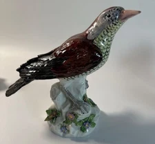 18th Century Meissen  Bird