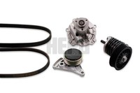 Wasserpumpe + Keilrippenriemensatz Hepu PK05423 FüR Audi A4 3B2 3B5 A6 VW Passat