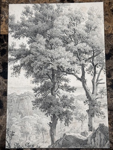 Antique Etching On Thick Stock Circa Early 1800’s 6 3/4” X 4 1/2”