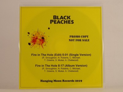 BLACK PEACHES FIRE IN THE HOLE (K81) 1 Track Promo CD Single including Picture S