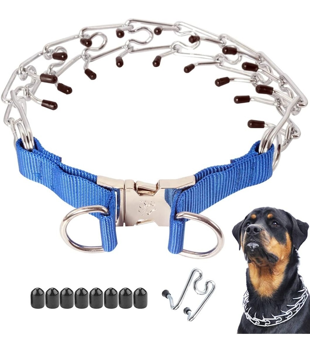 Mayerzon Dog Prong No-Pull Training Collar, In,16