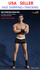 PHICEN TBLeague 1/6 Scale Seamless Male Muscular w/ HEAD Figure PL2016-M33