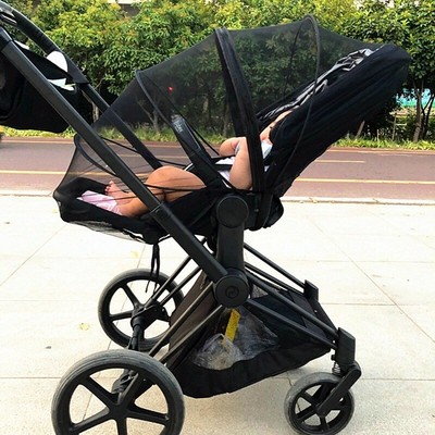 quintus stroller