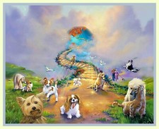 Rainbow Bridge All Dogs Go to Heaven 11x14 Matd 8x10 Print Memorial Sympathy