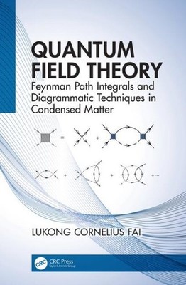 Quantum Field Theory : Feynman Path Integrals and Diagrammatic Techniques in ...