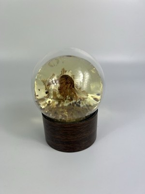 Vintage Nature Gems  Hermit Crab Globo 4.5''