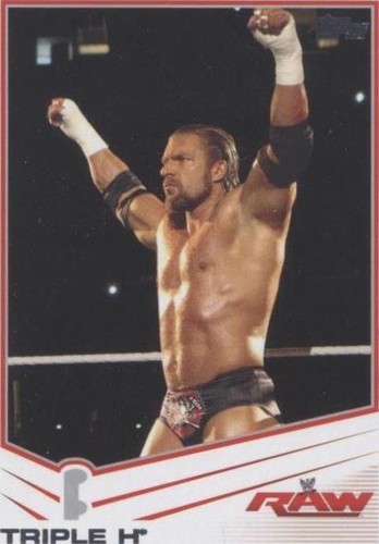 WWE TRIPLE H P-586 SIGNED 8X10 ORIGINAL PROMO PHOTO ENCAPSULATED
