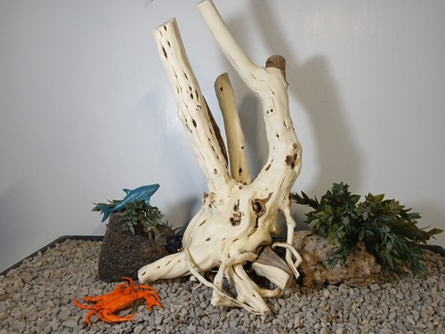 treibholz aquarium fische & reptilien lg 13x20 naturstumpf dekor