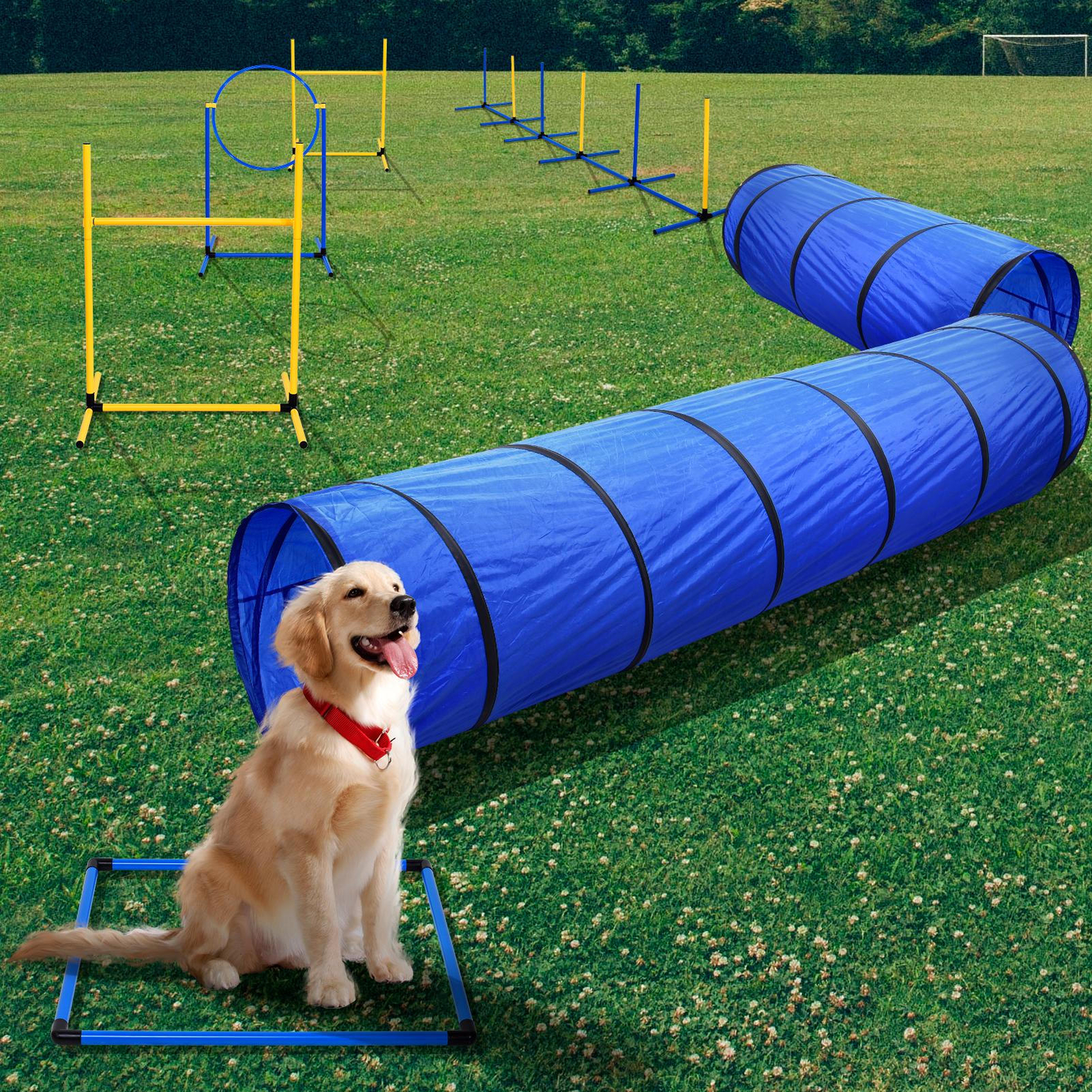 Outdoor Dog Pet Agility Training Equipment Backyard Starter Course Set Brand New