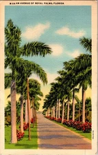 Vintage M-84 Avenue of Royal Palms Florida Linen Postcard 1941