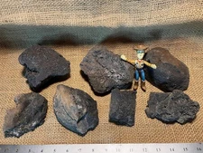SPECIAL OFFER! 7 Large, Black Lava Rocks – For Aquariums Succulents & More