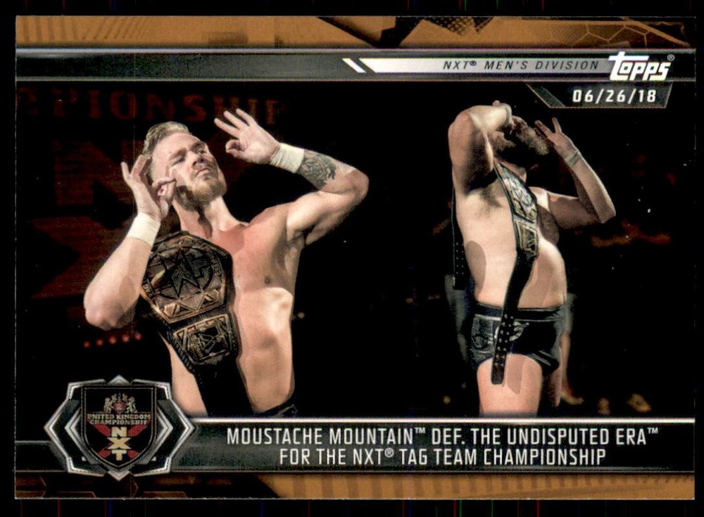 2019 WWE NXT Bronze #36 Moustache Mountain Def. Undisputed Era for Championship