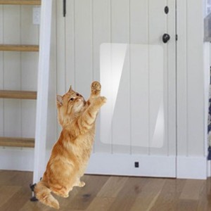 scratch tape for cats