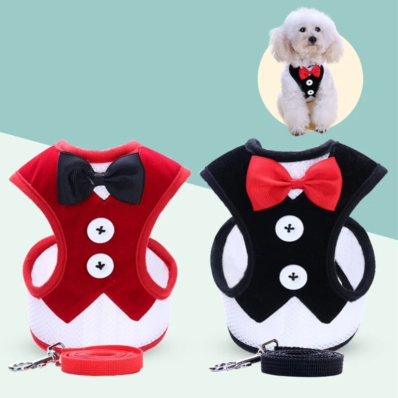 Dog Harness with Leash Set No Choke Puppy Breathable Vest for Small Dog