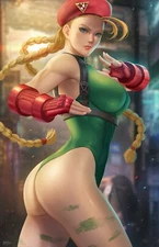 Cammy Street Fighter Anime Sexy Lady HD Print Canvas Comic Poster SFW Unframed