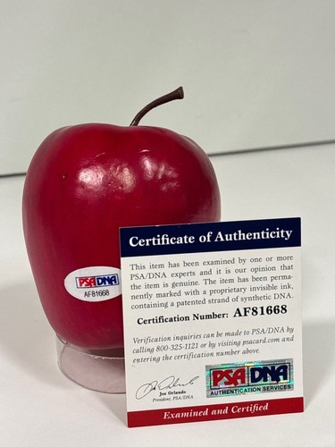 Ginnifer Goodwin Signed Artificial Apple Once Upon A Time RARE PSA AF81668 - Picture 2 of 2