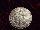 2003 American Silver Eagle 1 oz Fine Silver; Uncirculated/Toning