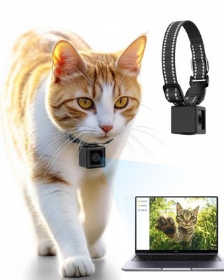 Cat Camera Collar 1080P HD Video Recording Pet POV Cam, NO WiFi NO APP, Mini ...