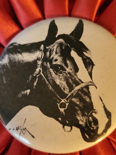 RICHLAND COUNTY Horse Show Ribbon Award Equestrian "Orren Mixer" Artwork Button